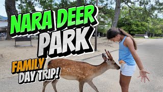 EXPLORING NARA DEER PARK WORLDS MOST POLITE DEER AND VISITING THE INCREDIBLE TODAIJI TEMPLE MUST [upl. by Ayotnom]