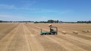 Shadybrook Farms Wheat Harvest 2024  Dover Delaware [upl. by Aicatsana]