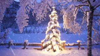 Lets Read  Eine Weihnachtsgeschichte Folge 04 [upl. by Hitt]