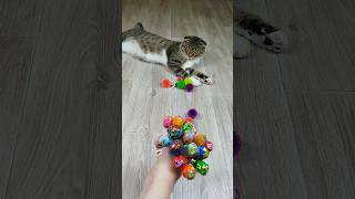 Funny Cat Barsik Balls 🔴🍭 Reverse Video reversevideo marblerunandmore cat [upl. by Acinahs521]