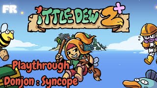 Ittle Dew 2  Playthrough Donjon optionnel  Syncope FR [upl. by Chaing620]