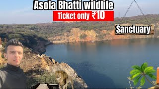 Neeli jheel  Asola bhatti wildlife Delhi ncr  full information [upl. by Artenra712]