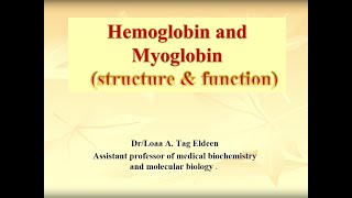 Hemoglobin and Myoglobin structure amp function [upl. by Princess]