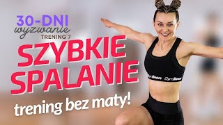 Wyzwanie LATO 🔥 7 Szybkie spalanie  Trening Odchudzający Bez Maty [upl. by Coke]