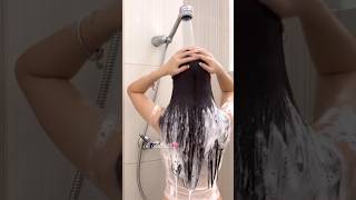 😮✅️ hair growth tips ✨️ shorts hairgrowth haircare diy longhair stophairfall [upl. by Erdried]