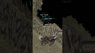 NO NOT HERE YOU are NEVER SAFE in ULTIMA ONLINE troll noob nostalgia shorts [upl. by Brit]