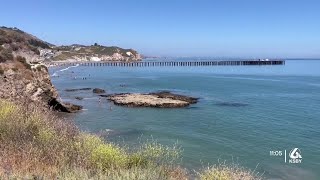 Conflicting reports on water quality at Avila Beach [upl. by Ylecara305]