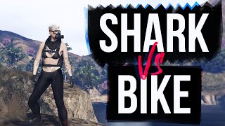 Shark Attack Bike Attack  gtAi Fivem modded server [upl. by Hako]