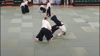 Aikido Embukai  60ennale dellAikikai dItalia  M° Marco La Pera [upl. by Bonnice73]