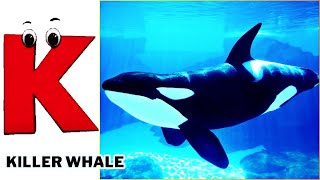 ABC Sea Animals song  Alphabets Kids song  Learn Alphabets English and Animals for Kids abcd [upl. by Leandra552]