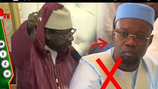 Sérigne Moustapha Sy démolit Sonko Sou doundé ba tal li ma takh mangui koy khar ba élection législ [upl. by Lothario627]