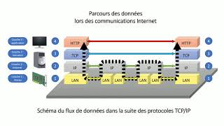 Cest quoi le TCPIP [upl. by Nynahs]