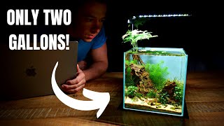 I Made a MINI DESK AQUARIUM Without a Filter Aquascape Tutorial [upl. by Ylen]