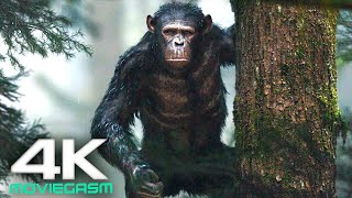 Kingdom Of The Planet Of The Apes 2024 4K UHD  New Upcoming Movies [upl. by Laverna]