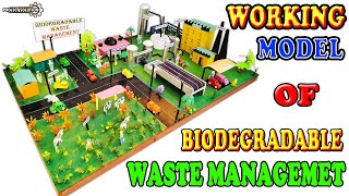 WORKING MODEL OF BIODEGRADABLE WASTE MANAGEMENT  EXHIBITION WORKING MODEL  PROJECT SOLUTION [upl. by Atnauqal]