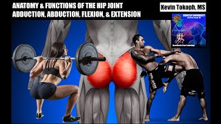 Standing Hip Extension  Ask Doctor Jo [upl. by Anait]