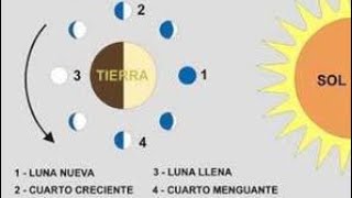 Las fases de la luna  Ciencias Naturales [upl. by Isnam]