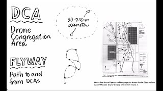 All About Drones with Julia Mahood [upl. by Chastain]