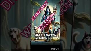 Divine Tarot Reading Coming Soon With krishna veni [upl. by Anivid102]