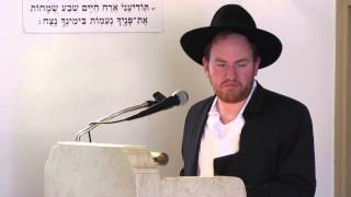 Rabbi Elimelech K Cohen Levaya [upl. by Ydarb]