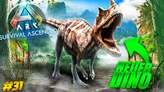 NEUE Artefakt CAVE amp Neuer DINO  ARK Survival Ascended [upl. by Josie961]