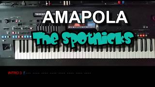 Amapola  The Spotnicks Cover mit titelbezogenem Style auf Yamaha Genos [upl. by Anot]