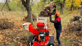 💎You have not Seen This Before Universal Wood Chipper Shredder [upl. by Allsun]