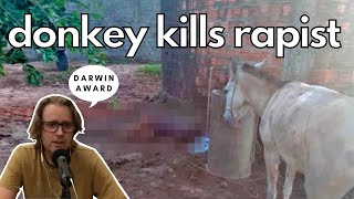 Darwin Award  Man Tries To Have Sex With Donkey [upl. by Nerat]