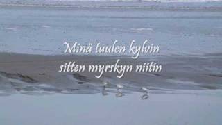 Seppo Tammilehto 2010 Tuulen kylvin myrskyn niitin Lyrics [upl. by Eeimaj4]