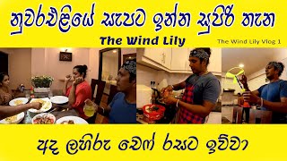 අපේ ෆැමිලි එක නැවතුන සුපිරි මන්දිරය 😍 Chicken Fried Rice With Chicken Devil 👍 The Wind Lily [upl. by Yraillih]