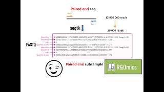 Randomly subsample reads from paired end FASTQ files [upl. by Aruam]