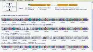 Comparative and Omics Tools in BioCyc Part 4 [upl. by Qahsi789]