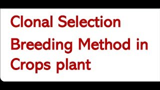 Clonal Selection ।। Breeding Methods in crops plant [upl. by Riley997]