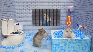 Hamster Escapes Prison Maze 🛑Live Stream [upl. by Atteuqaj]