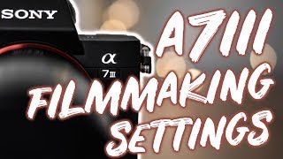 BEST A7III A7RIII FILMMAKING BROLL CINEMATIC VIDEO SETTINGS [upl. by Enyallij213]