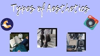 Types of aesthetics Find your aesthetic [upl. by Adneral691]