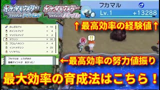 【ポケモンBDSP】努力値・経験値稼ぎの効率的な方法はこちら！【ダイパリメイク】【努力値】【経験値稼ぎ】 [upl. by Salema]