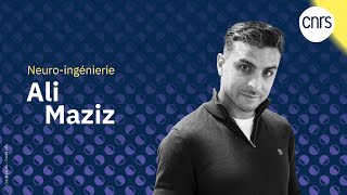 Ali Maziz chercheur en neuroingénierie  Talents CNRS [upl. by Cirenoj]