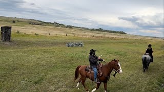 Road trip across Canada 2024 “robbed on the train from Stettler AB to Big Valley AB” [upl. by Cassius]