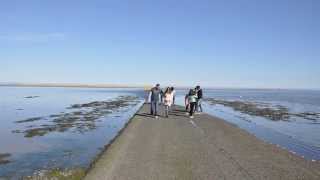 Lindisfarne Holy Island Causeway Tide Timelapse [upl. by Itraa305]