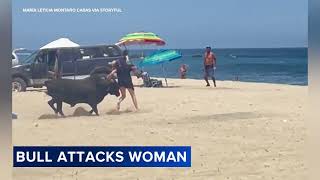 Bull charges woman on beach in Mexico [upl. by Agretha179]