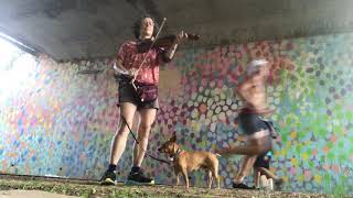 Crapshooters Rag  Miss Moonshine played under Beltline bridge with chihuahua at guard [upl. by Etnovaj436]