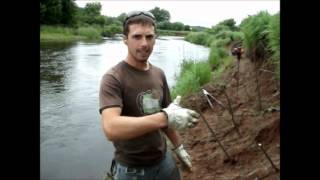 Bioengineering Restoration Efforts on the Kennebecasis River Willow Staking [upl. by Toole]