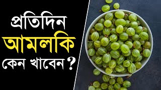 আমলকি খাওয়ার উপকারিতা কি  Amla Health Benefits in Bengali  imagine 6 [upl. by Nivag]