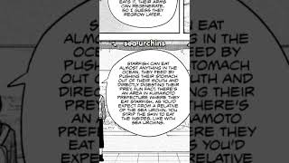 You Missed This in Chainsaw Man Chapter 115 [upl. by Yblok]