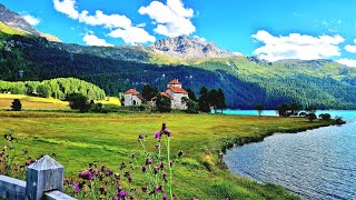 A beautiful amp relaxing late afternoon walk by Lake Silvaplana amp Surlej Switzerland Summer 2022❤️🇨🇭 [upl. by Ynehpets369]