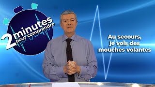 Au secours je vois des mouches volantes  2 minutes pour comprendre [upl. by Buseck]