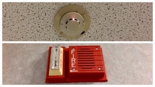 Fire Alarm Test 52 [upl. by Anaeli889]