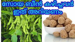 നിങ്ങൾ കഴിക്കുന്നത് സോയാബീൻ ആണോSoyabeans Farming And Harvesting Malayalam [upl. by Ylurt]