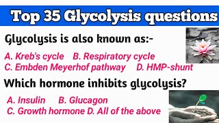 Top MCQ question of GLYCOLYSIS  For all examination 🤗🤗Rajputanchal [upl. by Nahtal]